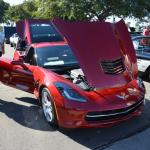 VetsandVettes_0013 (November 09, 2013)